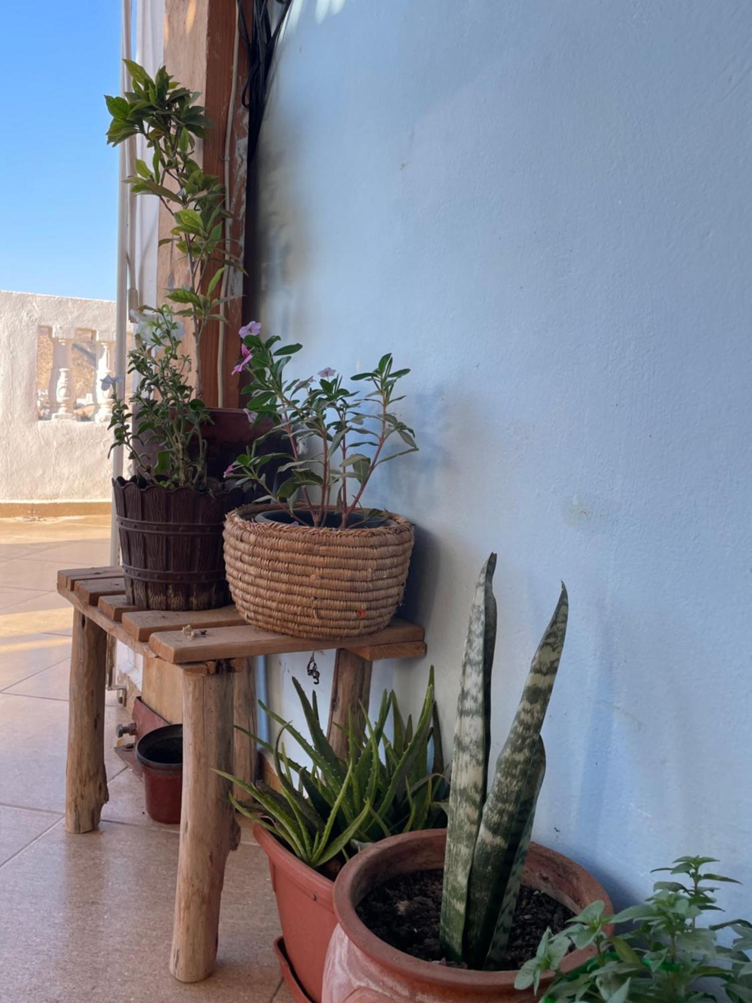 Hotel Kosasurfmorocco Aourir Esterno foto